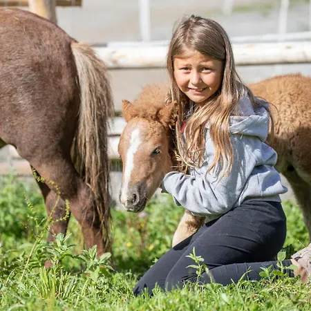 Gerlosstein Hotel 3*