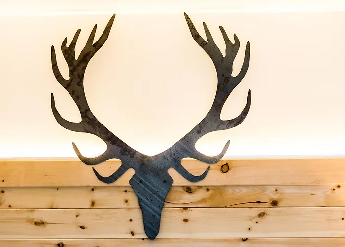 吉罗斯汀伯格酒店 海因岑贝格